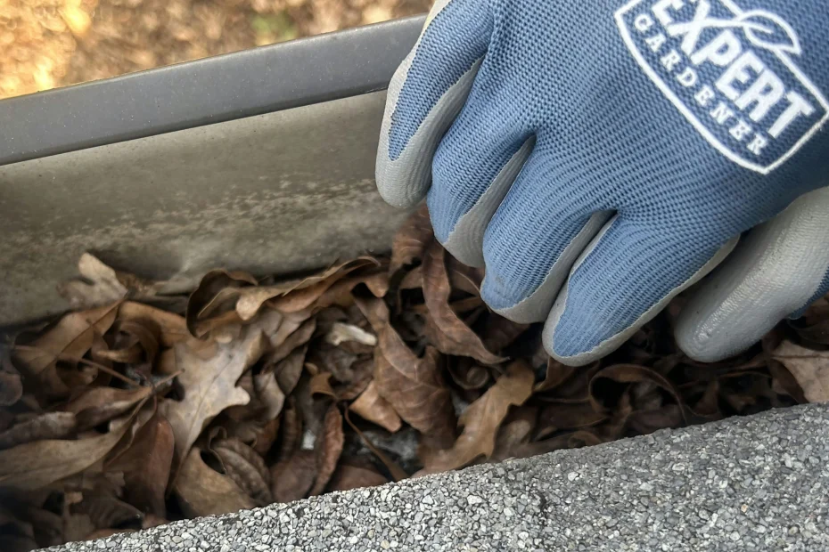 Gutter Cleaning Renaissance Park