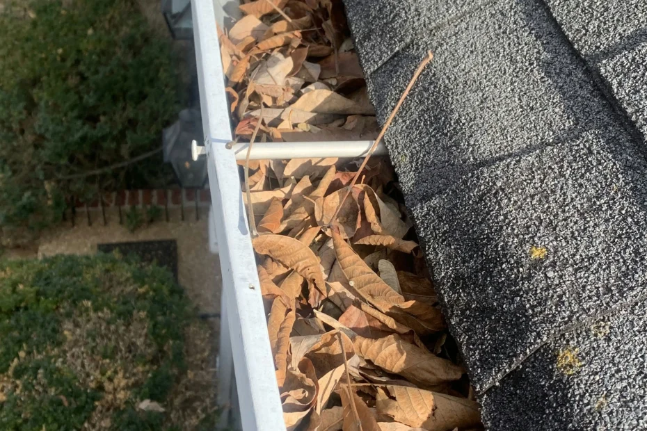 Gutter Cleaning Renaissance Park