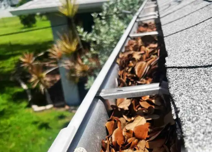 Gutter Cleaning Renaissance Park home page